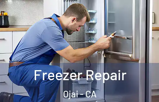  Freezer Repair Ojai - CA