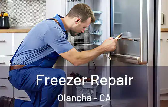  Freezer Repair Olancha - CA