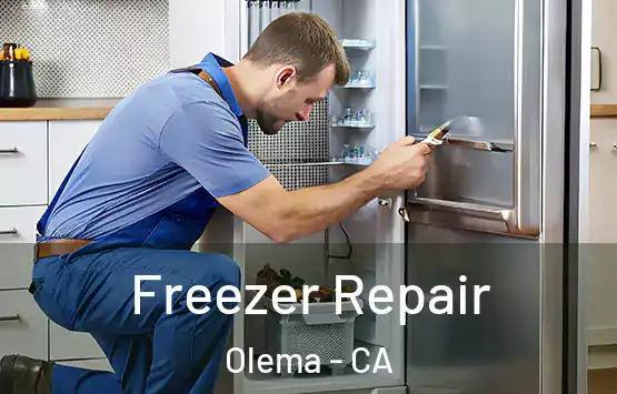  Freezer Repair Olema - CA