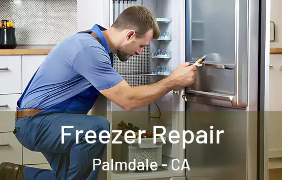  Freezer Repair Palmdale - CA