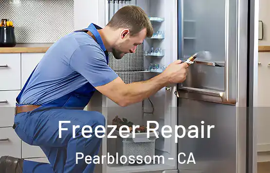  Freezer Repair Pearblossom - CA
