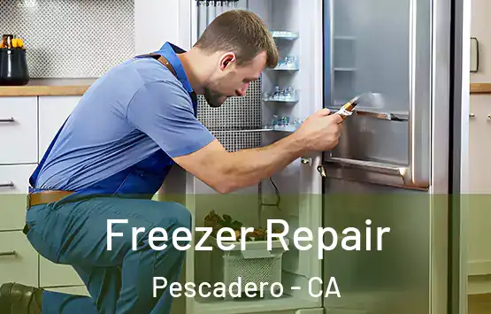  Freezer Repair Pescadero - CA
