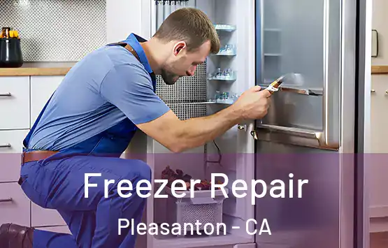  Freezer Repair Pleasanton - CA
