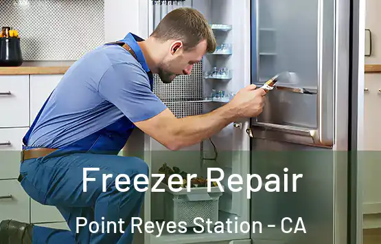  Freezer Repair Point Reyes Station - CA