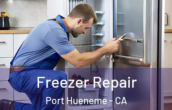  Freezer Repair Port Hueneme - CA