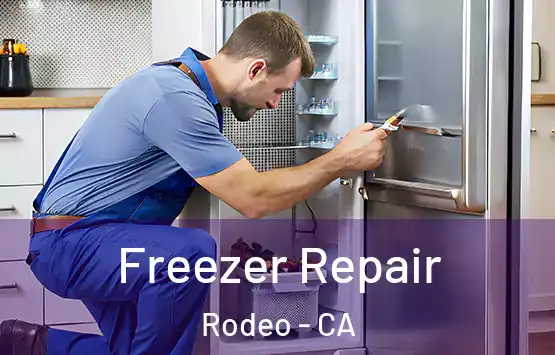  Freezer Repair Rodeo - CA