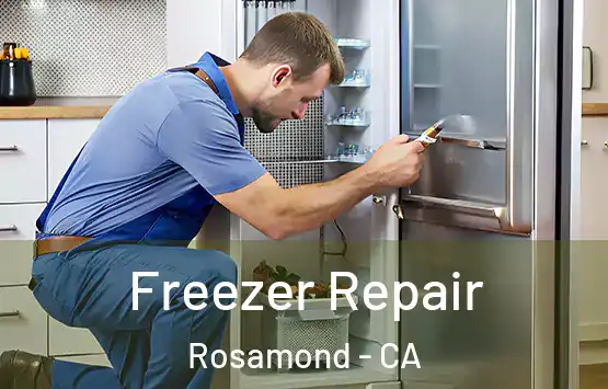  Freezer Repair Rosamond - CA