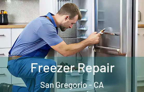  Freezer Repair San Gregorio - CA
