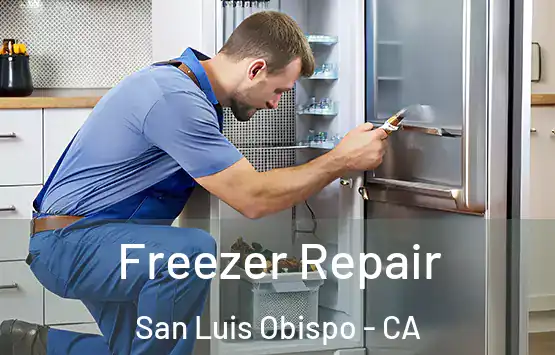  Freezer Repair San Luis Obispo - CA