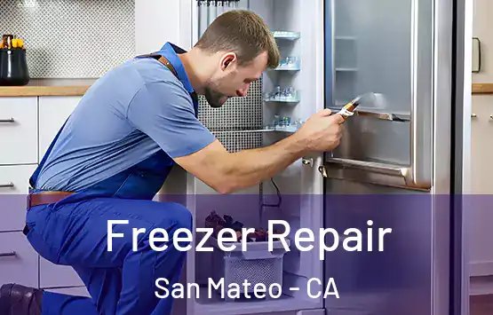  Freezer Repair San Mateo - CA