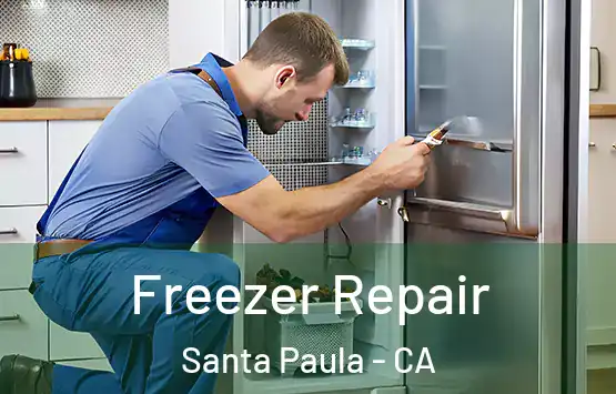  Freezer Repair Santa Paula - CA