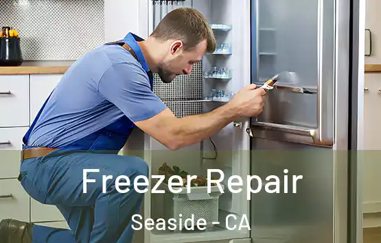  Freezer Repair Seaside - CA