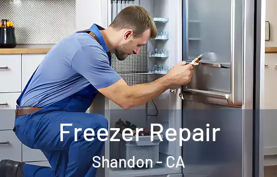  Freezer Repair Shandon - CA