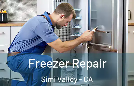  Freezer Repair Simi Valley - CA
