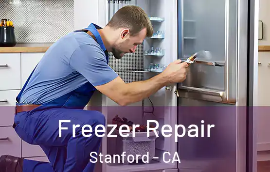  Freezer Repair Stanford - CA