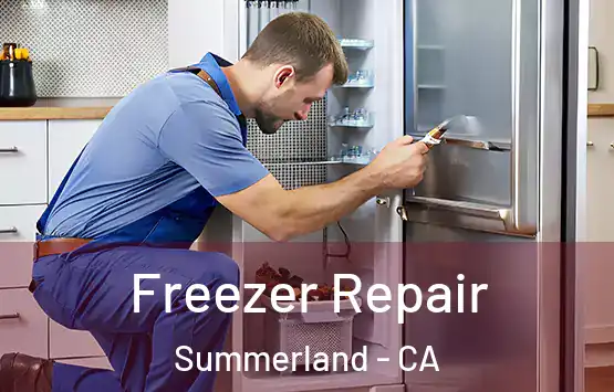  Freezer Repair Summerland - CA