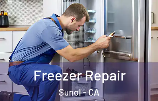  Freezer Repair Sunol - CA