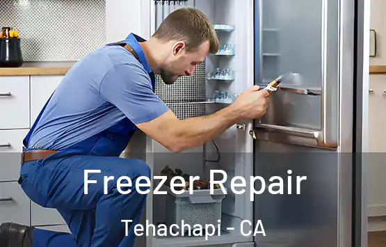  Freezer Repair Tehachapi - CA