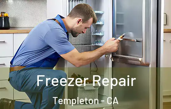  Freezer Repair Templeton - CA