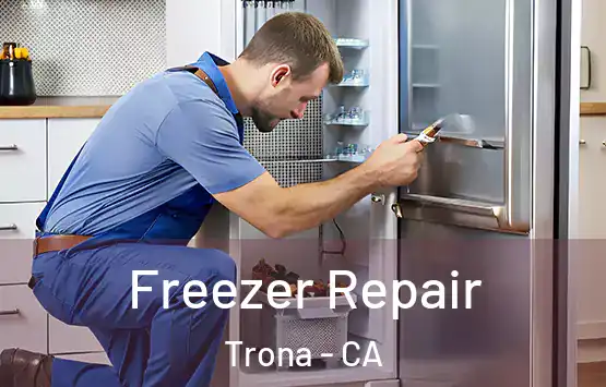 Freezer Repair Trona - CA