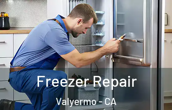  Freezer Repair Valyermo - CA