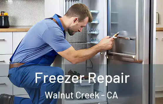  Freezer Repair Walnut Creek - CA