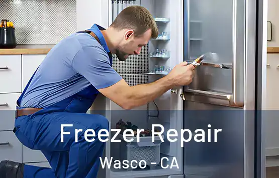  Freezer Repair Wasco - CA