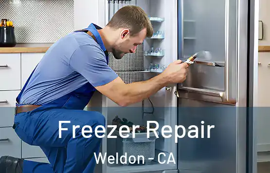  Freezer Repair Weldon - CA