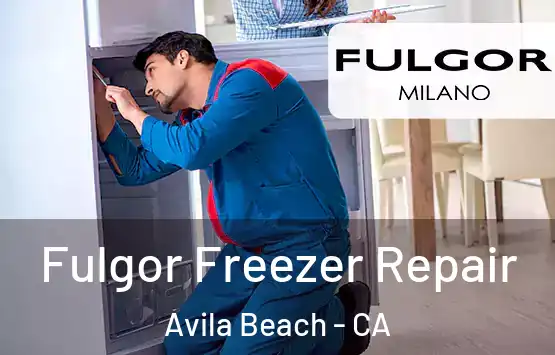  Fulgor Freezer Repair Avila Beach - CA