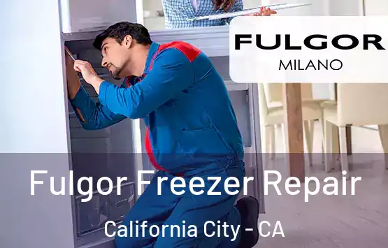  Fulgor Freezer Repair California City - CA