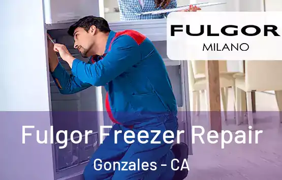  Fulgor Freezer Repair Gonzales - CA