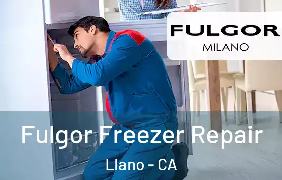  Fulgor Freezer Repair Llano - CA