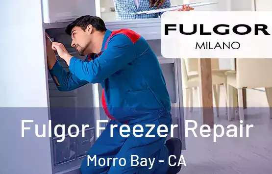  Fulgor Freezer Repair Morro Bay - CA