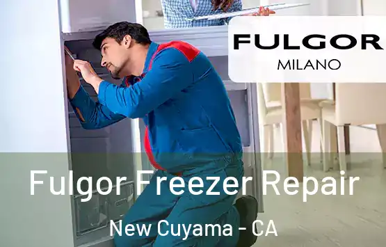  Fulgor Freezer Repair New Cuyama - CA