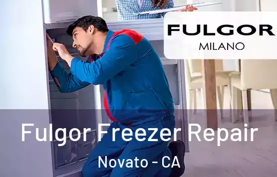  Fulgor Freezer Repair Novato - CA