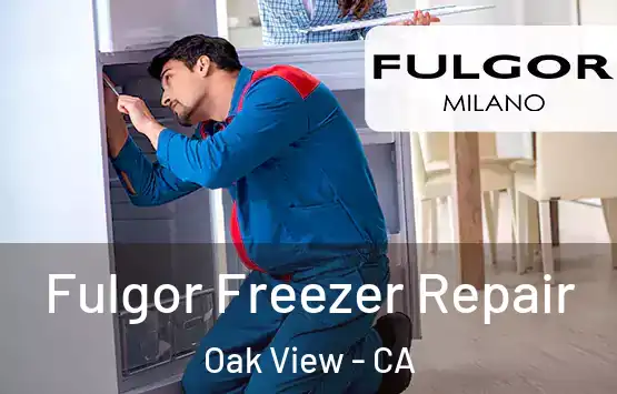 Fulgor Freezer Repair Oak View - CA