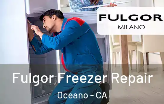  Fulgor Freezer Repair Oceano - CA