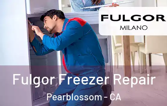  Fulgor Freezer Repair Pearblossom - CA