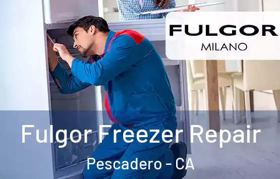  Fulgor Freezer Repair Pescadero - CA