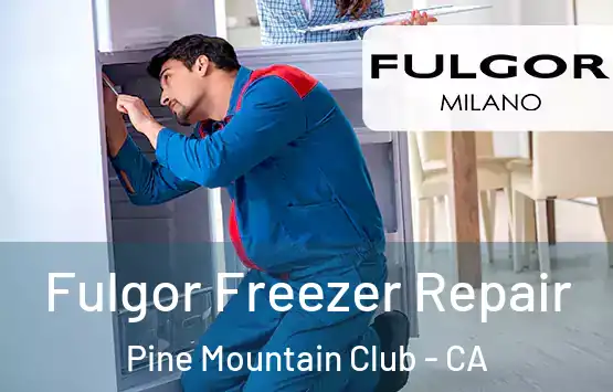  Fulgor Freezer Repair Pine Mountain Club - CA