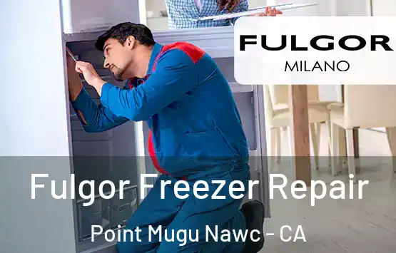  Fulgor Freezer Repair Point Mugu Nawc - CA