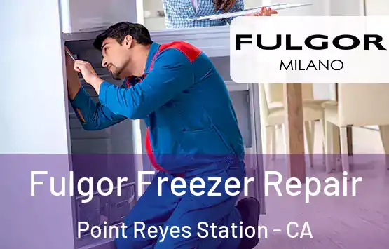  Fulgor Freezer Repair Point Reyes Station - CA