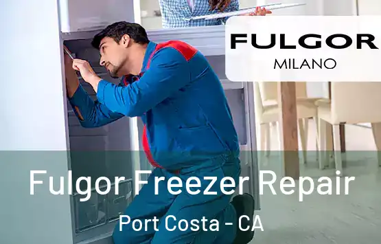  Fulgor Freezer Repair Port Costa - CA