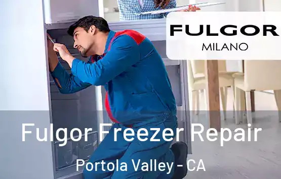  Fulgor Freezer Repair Portola Valley - CA