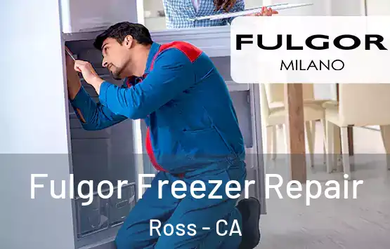  Fulgor Freezer Repair Ross - CA
