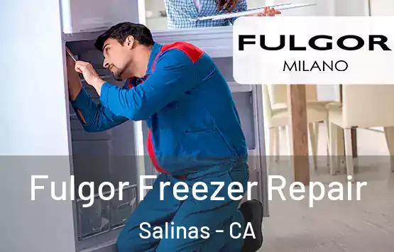  Fulgor Freezer Repair Salinas - CA