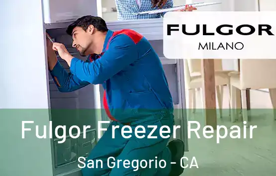  Fulgor Freezer Repair San Gregorio - CA