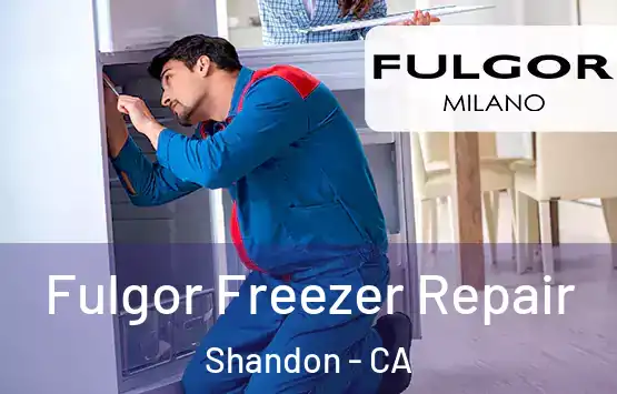  Fulgor Freezer Repair Shandon - CA