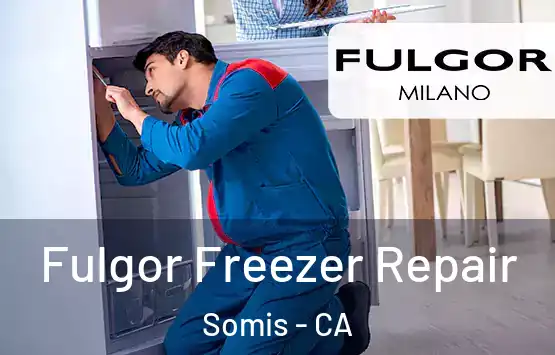  Fulgor Freezer Repair Somis - CA