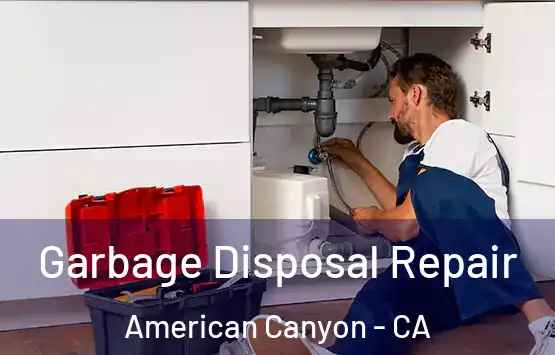  Garbage Disposal Repair American Canyon - CA